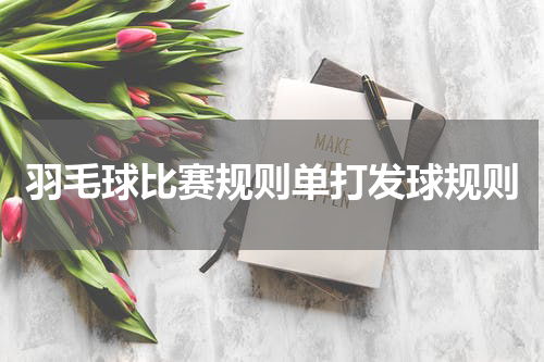 羽毛球比赛规则单打发球规则