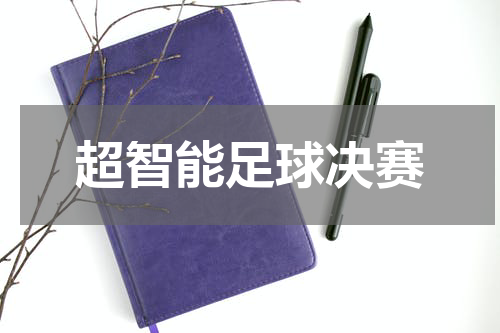 超智能足球决赛