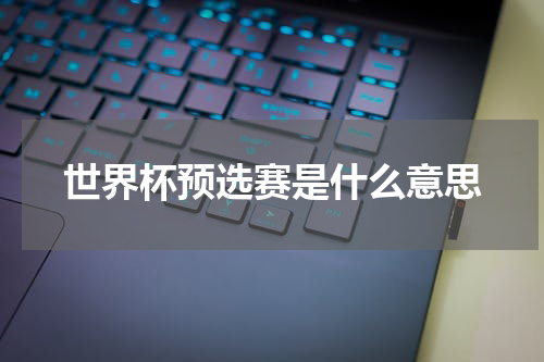 世界杯预选赛是什么意思