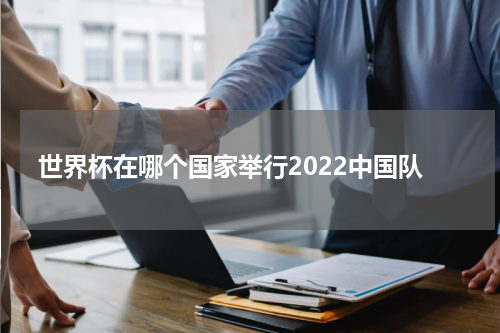 世界杯在哪个国家举行2022中国队