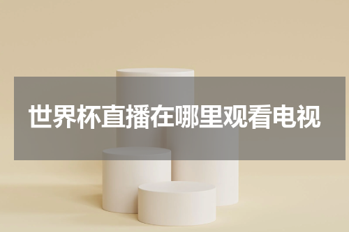 世界杯直播在哪里观看电视