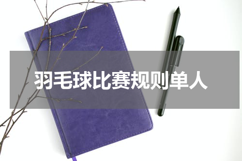 羽毛球比赛规则单人