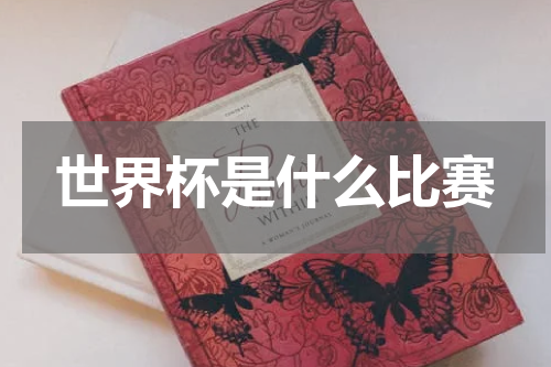 世界杯是什么比赛
