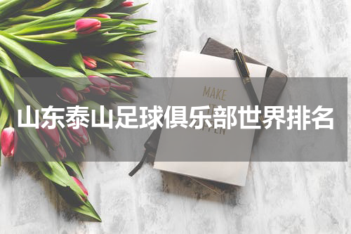 山东泰山足球俱乐部世界排名