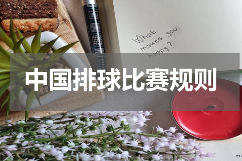 中国排球比赛规则