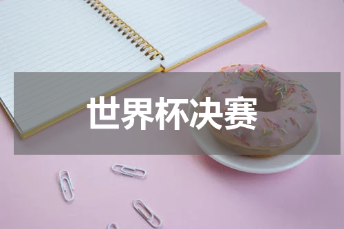 世界杯决赛
