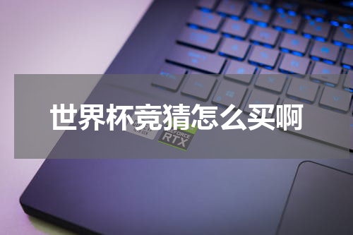 世界杯竞猜怎么买啊