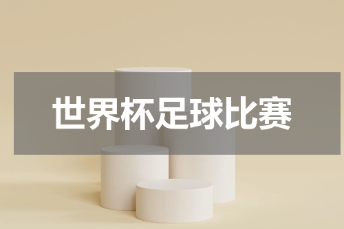世界杯足球比赛