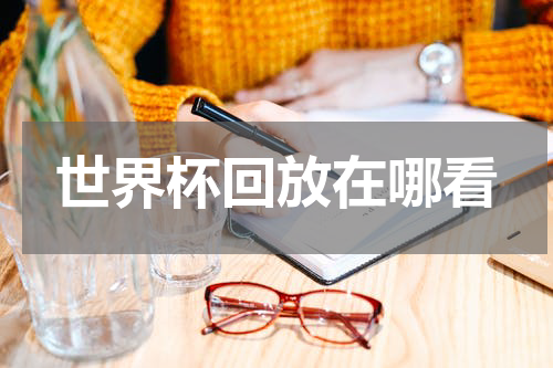 世界杯回放在哪看