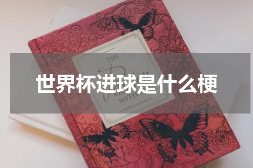 世界杯进球是什么梗