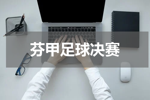 芬甲足球决赛