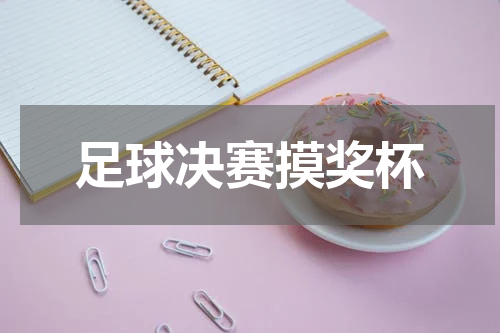 足球决赛摸奖杯