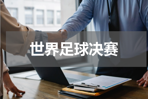 世界足球决赛