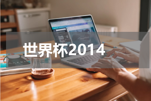 世界杯2014