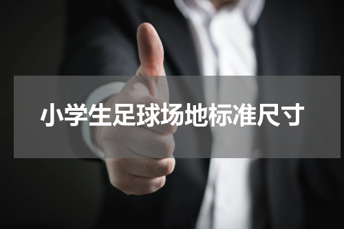 小学生足球场地标准尺寸