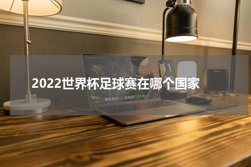 2022世界杯足球赛在哪个国家