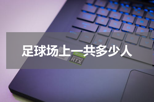 足球场上一共多少人