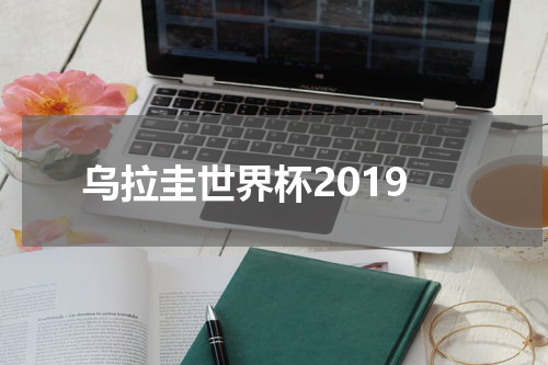 乌拉圭世界杯2019