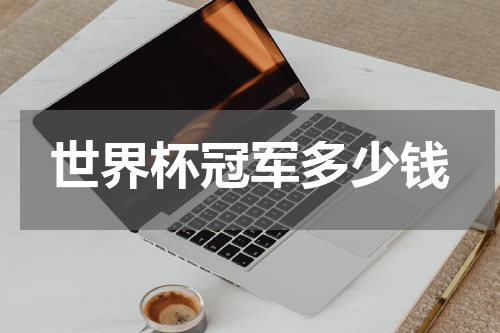 世界杯冠军多少钱