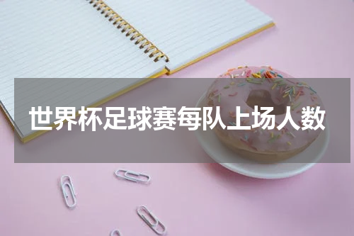 世界杯足球赛每队上场人数