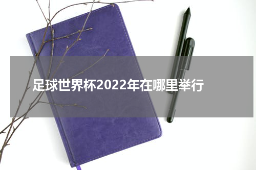 足球世界杯2022年在哪里举行