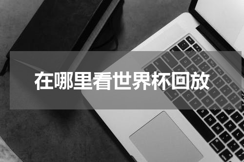 在哪里看世界杯回放