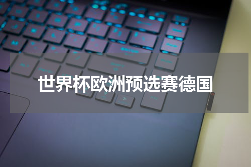 世界杯欧洲预选赛德国