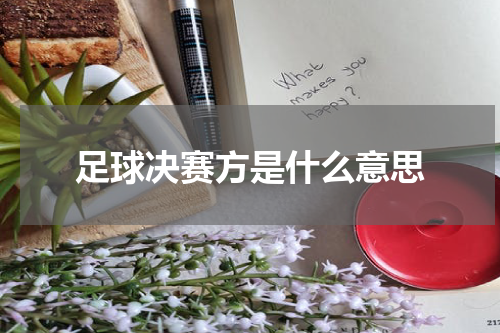 足球决赛方是什么意思
