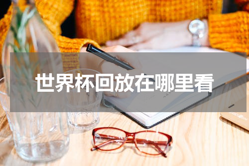 世界杯回放在哪里看