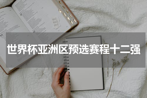 世界杯亚洲区预选赛程十二强
