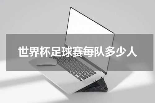 世界杯足球赛每队多少人