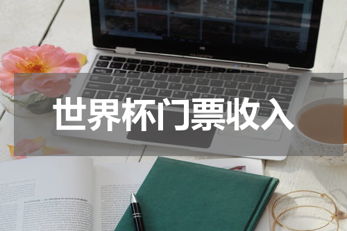 世界杯门票收入