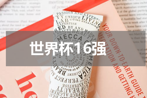 世界杯16强