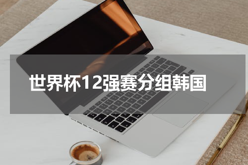 世界杯12强赛分组韩国