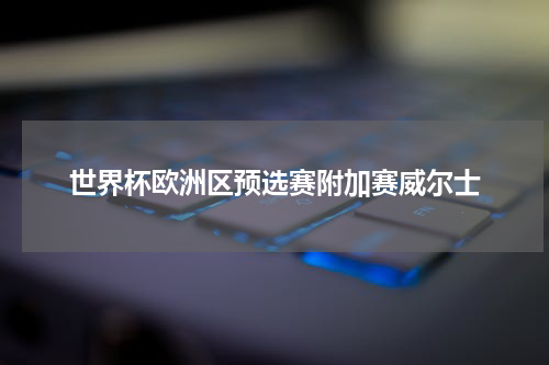 世界杯欧洲区预选赛附加赛威尔士