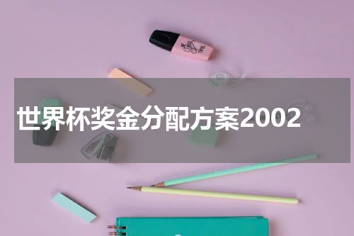 世界杯奖金分配方案2002