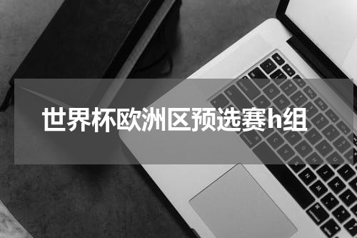 世界杯欧洲区预选赛h组