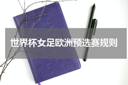 世界杯女足欧洲预选赛规则
