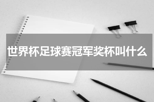世界杯足球赛冠军奖杯叫什么