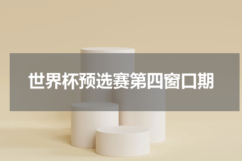 世界杯预选赛第四窗口期