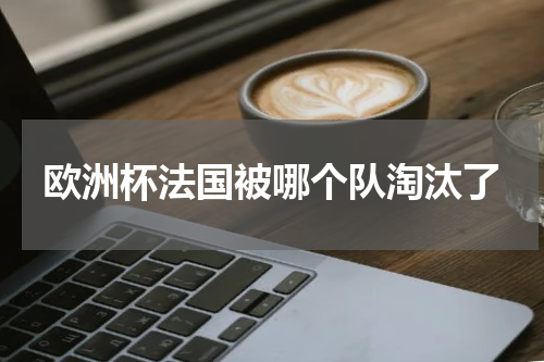 欧洲杯法国被哪个队淘汰了