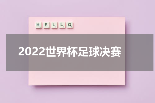 2022世界杯足球决赛