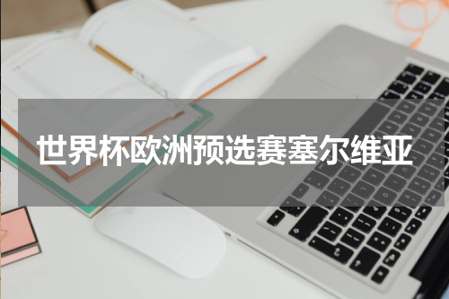 世界杯欧洲预选赛塞尔维亚