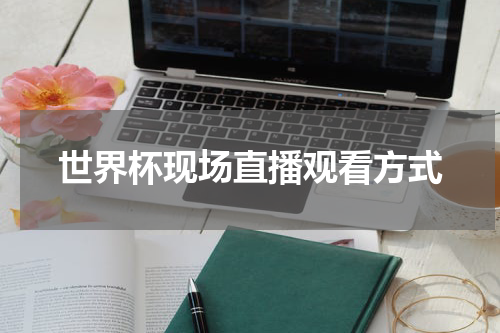 世界杯现场直播观看方式