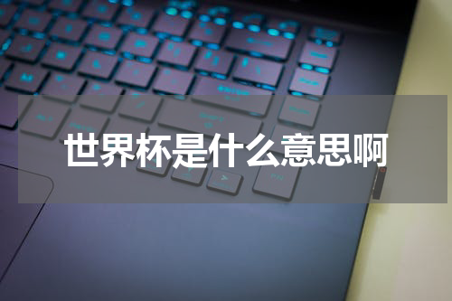 世界杯是什么意思啊