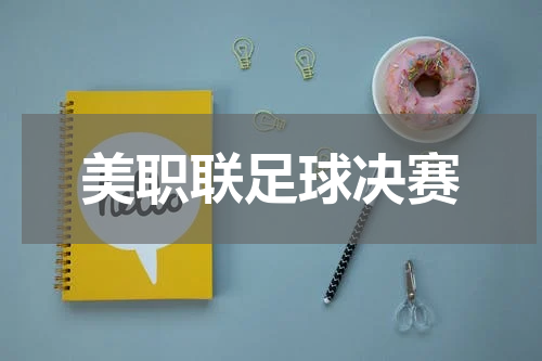 美职联足球决赛