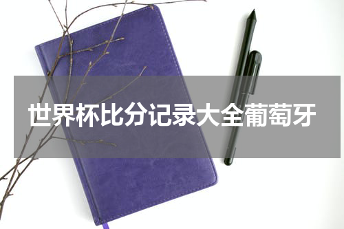 世界杯比分记录大全葡萄牙
