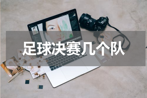 足球决赛几个队
