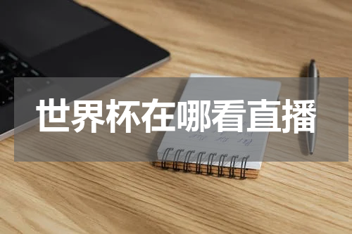 世界杯在哪看直播