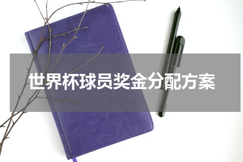 世界杯球员奖金分配方案